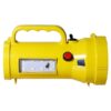 Homelite Toofan 25 Watts 1 KM Long Range With Side Light Torch