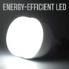 Polycab 50W Round LED Bulbs